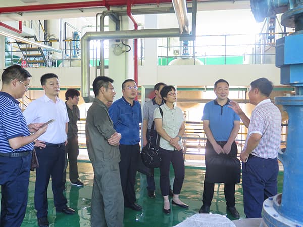国务院督察组到天元湖北生产基地考察 国务院督察组到天元湖北生产基地考察