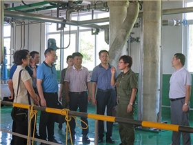 国务院督察组到天元湖北生产基地考察