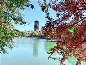 北京大学