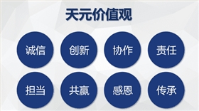 天元价值观