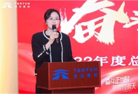 代理常务副总报告