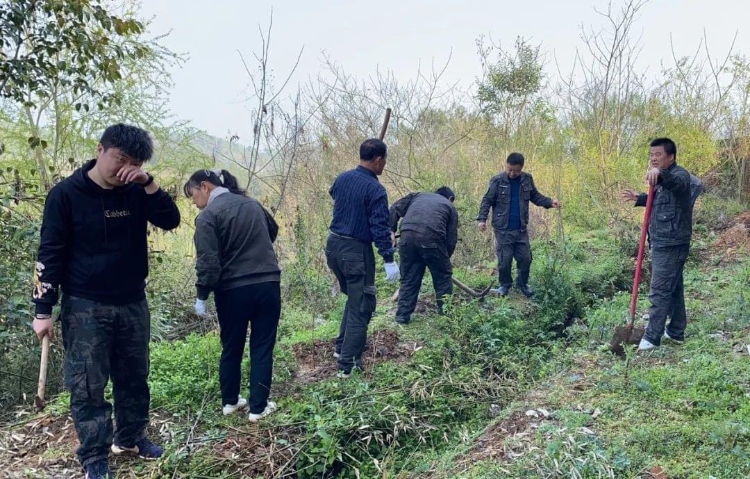 天元航材植树3 天元航材植树3