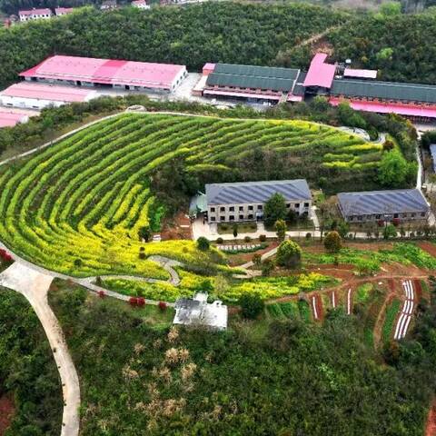 天元新材50周年专题片正式开机