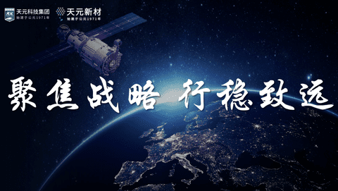 天元科技集团战略咨询项目第二阶段成果汇报结束