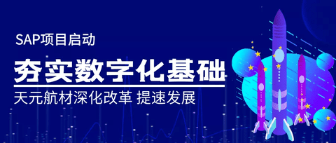 SAP项目全面实施