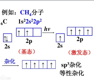 杂化类型有哪些